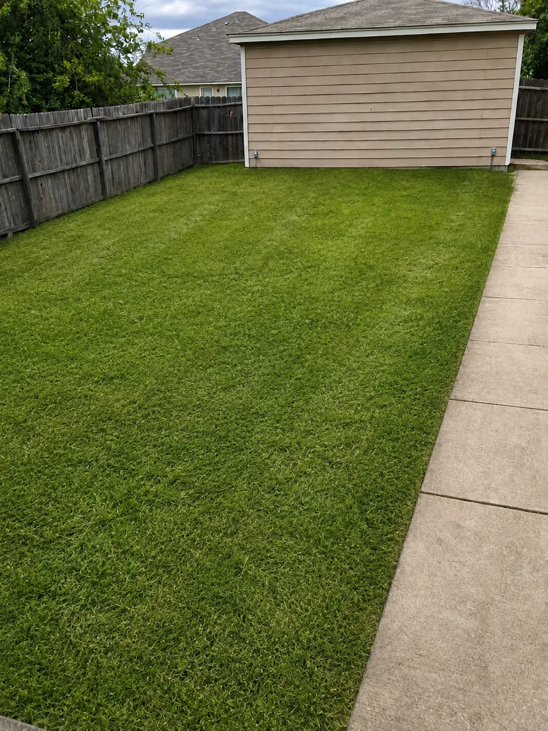 Lawn after using a GrassWorks mower